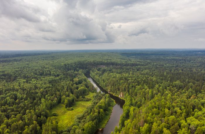 Природные парки и заповедники