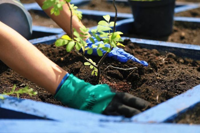 Евразийский фестиваль ландшафтного искусства «Атмофест»