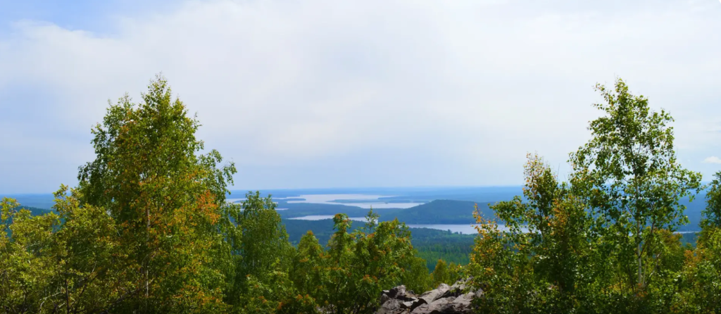 Волчиха.png Волчиха.png