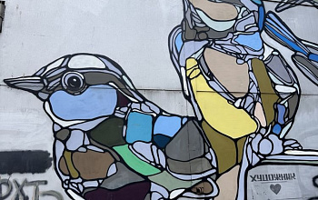 Фестиваль уличного искусства STENOGRAFFIA