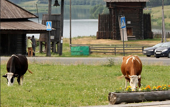 Нижнесинячихинский музей-заповедник деревянного зодчества и народного искусства имени И.Д. Самойлова