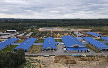 Tarım kompleksi "Baltymsky"